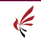 云南藝術(shù)學(xué)院附屬藝術(shù)學(xué)校