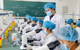 實訓實習