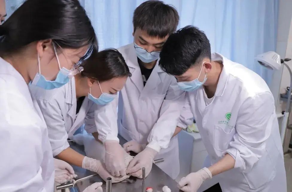 實訓實習