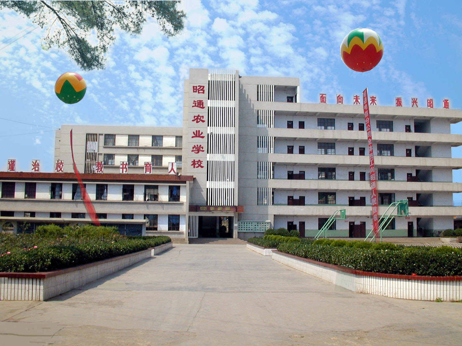校園環(huán)境