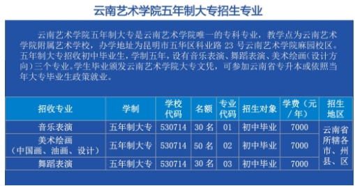 云南藝術(shù)學(xué)院五年制大專招生專業(yè)
