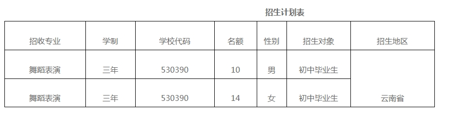 招生計(jì)劃表