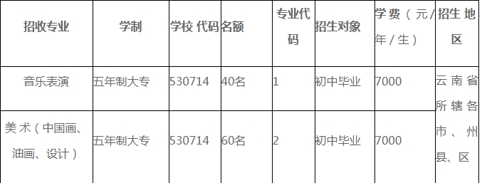 云南藝術(shù)學(xué)院五年制大專