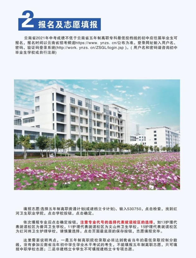 志愿填報