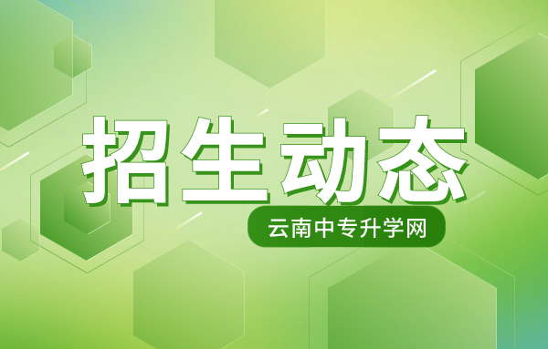 云南國土資源職業(yè)學(xué)院丨市場營銷專業(yè)介紹