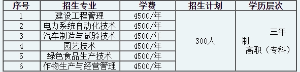 招生計(jì)劃